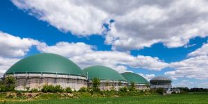 Marktplatz Energie > Klimaschutz & Emission - Business-Case Biomasse - ökologische Gegenleistungen, Industriepotenziale und steuerliche Bewertung